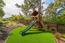 1633 Sonado Road (Image 35)
