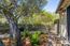 13101 Corte De Encanto (Image 45)