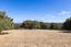 8170 Manjares (Image 5)