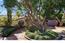 2970 Franciscan Way - SOLD (Image 1)