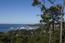 228 Peter Pan Road - SOLD (Image 1)