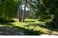1206 Hawkins Way - SOLD (Image 1)