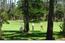 1225 Benbow Place - SOLD (Image 1)
