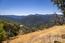 Luxury Homes in Carmel Valley (Image 7)