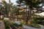 Luxury Homes for sale in Pebble Beach (Image 33)