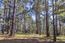 Luxury Homes for sale in Pebble Beach (Image 6)