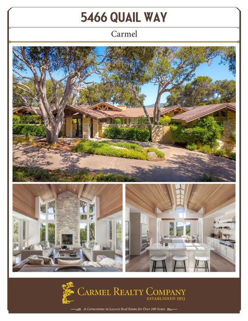 Property Flyer
