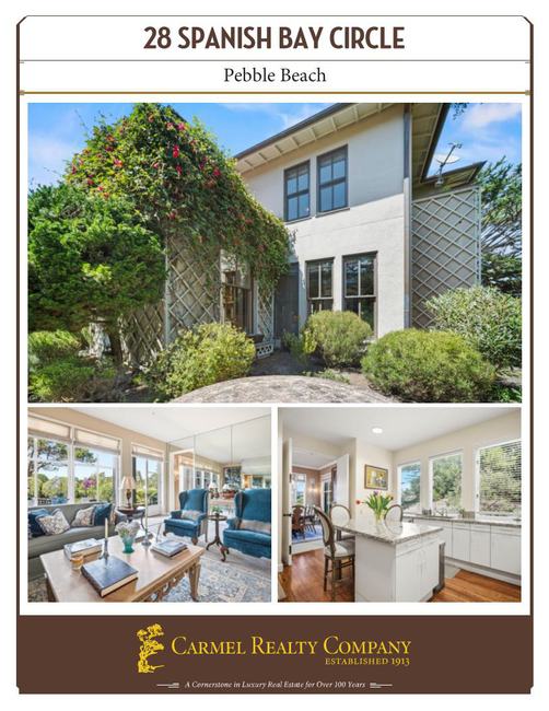 Property Flyer