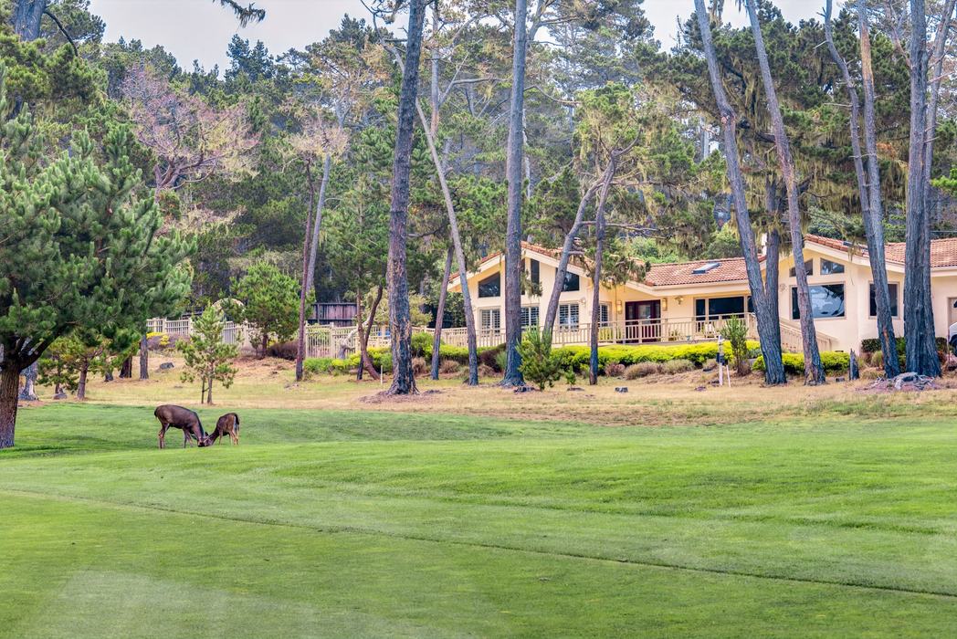 1201 Hawkins Way - SOLD, Pebble Beach
