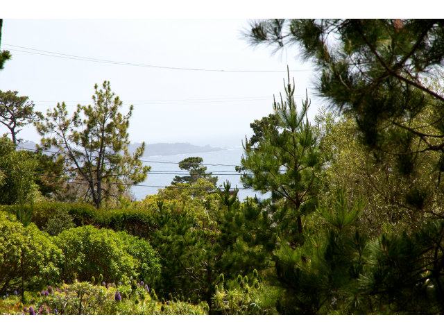 1451 Oleada Road - SOLD, Pebble Beach