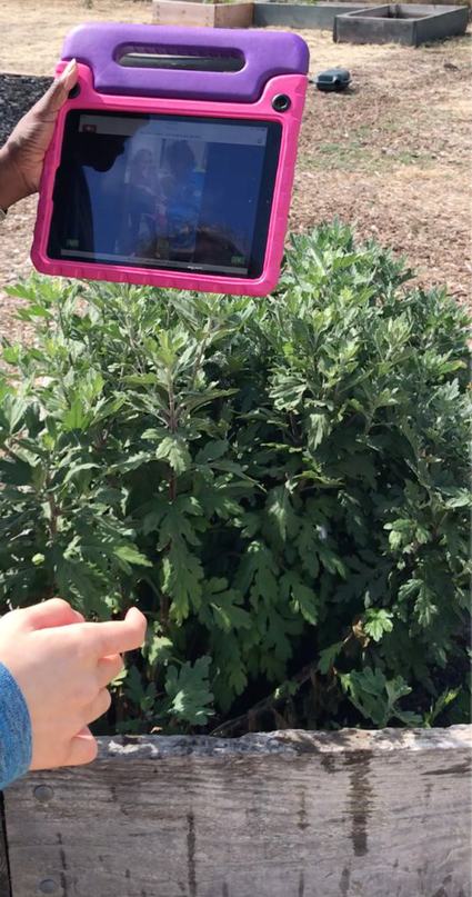Image about Using Videos to Support Language and Learning Across the Curriculum