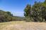 25520 Via Malpaso, Lot 92 (Image 15)