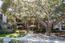 21 Miramonte Road - SOLD (Image 30)