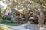 21 Miramonte Road - SOLD (Image 34)