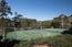 21 Miramonte Road - SOLD (Image 37)