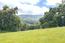 29 Arroyo Sequoia (Image 9)