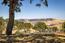 35180 Sky Ranch Road (Image 5)