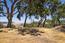 35180 Sky Ranch Road (Image 6)