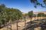 35180 Sky Ranch Road (Image 9)