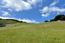 29 Potrero Trail (Image 10)