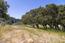 25520 Via Malpaso, Lot 92 (Image 14)