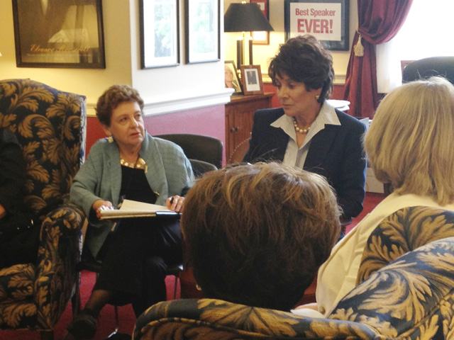 Image about SILVAR Members Take Issues to Capitol Hill