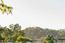29 Arroyo Sequoia (Image 25)
