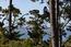 1432 Riata Road (Image 17)