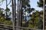 1432 Riata Road (Image 38)