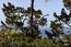 1432 Riata Road (Image 39)