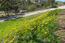 77 Laureles Grade (Image 27)