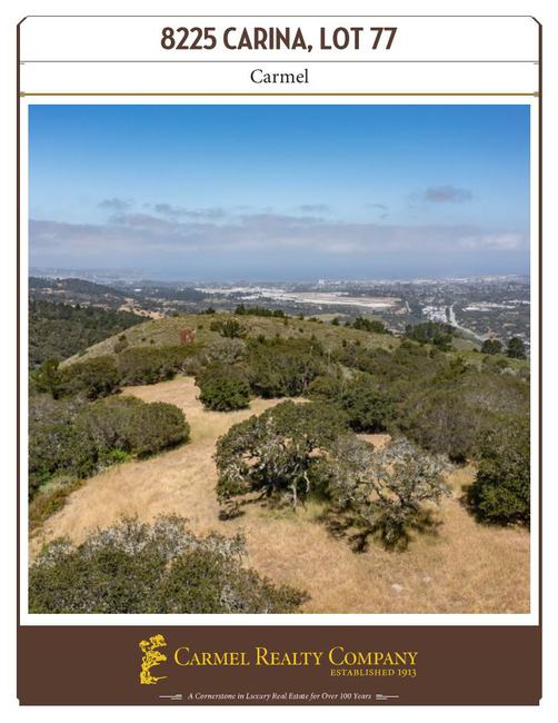 Property Flyer
