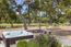 TREASURE OAKS (Image 30)