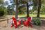 TREASURE OAKS (Image 31)
