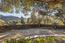 Luxury Homes for sale in Carmel (Image 6)