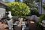 Luxury Houses for sale in Carmel (Image 11)