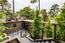 TREETOPS (Image 22)