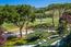 9972 Holt Rd. - SOLD (Image 18)