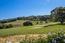 9972 Holt Rd. - SOLD (Image 9)