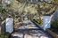 12724 Sundance Lane (Image 4)