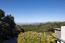 12724 Sundance Lane (Image 34)