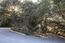 12724 Sundance Lane (Image 7)