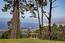 507 Aguajito Road - SOLD (Image 33)