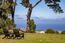 507 Aguajito Road - SOLD (Image 34)