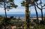 7567 Paseo Vista - SOLD (Image 14)
