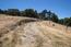 7567 Paseo Vista - SOLD (Image 15)