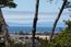7567 Paseo Vista - SOLD (Image 5)
