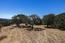 8225 Carina (Image 5)