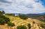 Two acres of terraced, south facing, vineyards (Image 10)