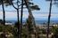 7567 Paseo Vista - SOLD (Image 1)
